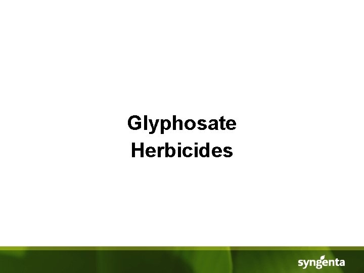Glyphosate Herbicides 