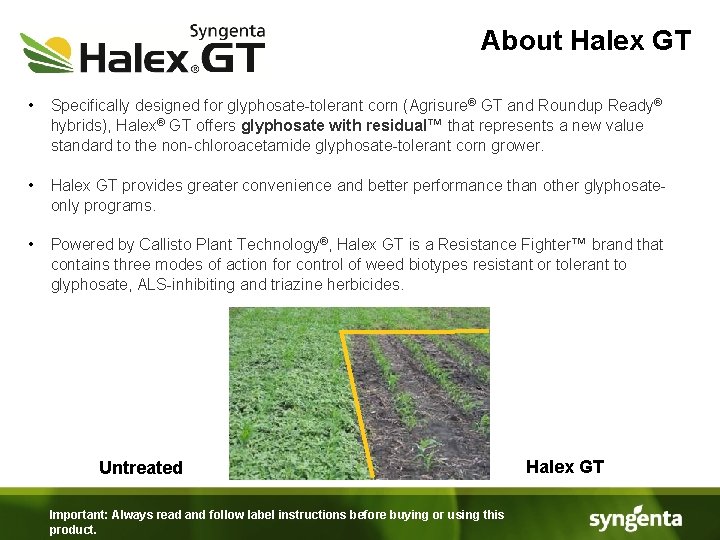 About Halex GT • Specifically designed for glyphosate-tolerant corn (Agrisure® GT and Roundup Ready®