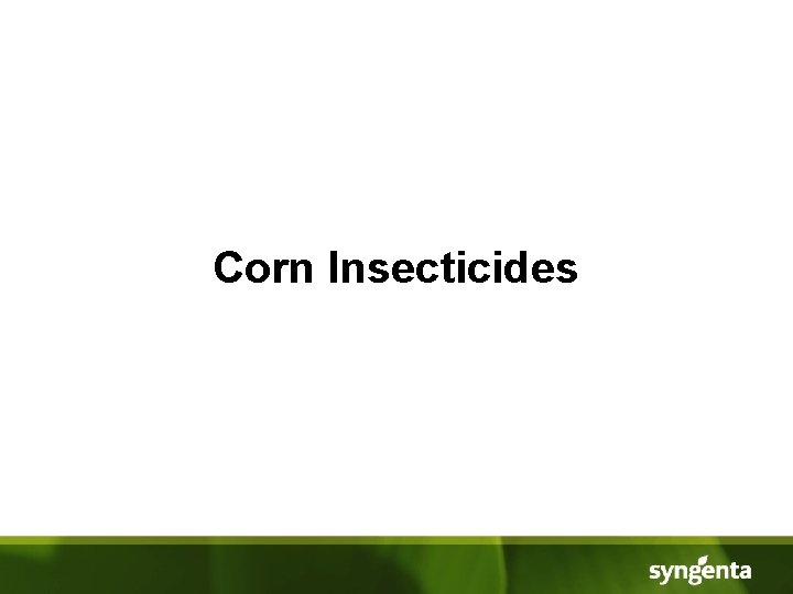 Corn Insecticides 