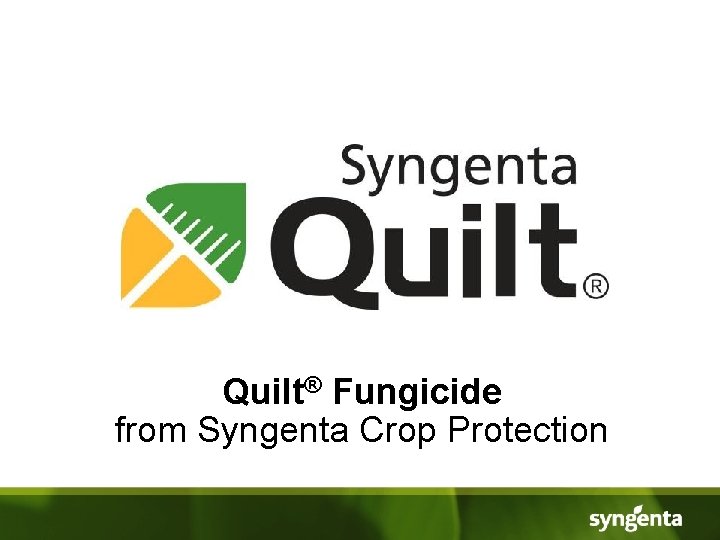 Quilt® Fungicide from Syngenta Crop Protection 