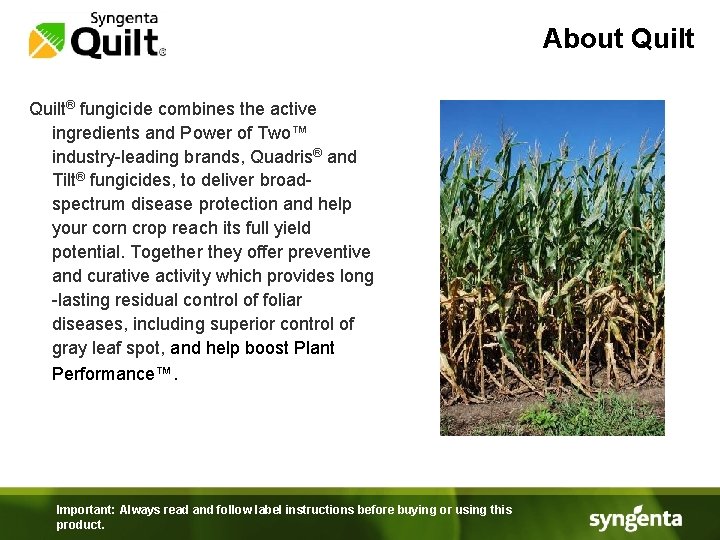 About Quilt® fungicide combines the active ingredients and Power of Two™ industry-leading brands, Quadris®