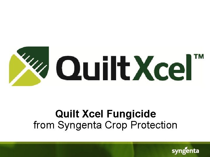 Quilt Xcel Fungicide from Syngenta Crop Protection 