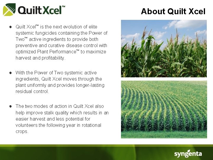 About Quilt Xcel ● Quilt Xcel™ is the next evolution of elite systemic fungicides