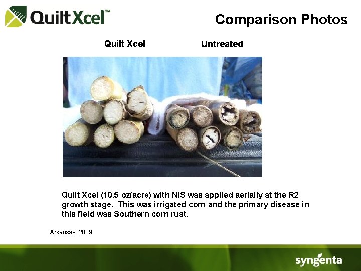 Comparison Photos Quilt Xcel Untreated Quilt Xcel (10. 5 oz/acre) with NIS was applied
