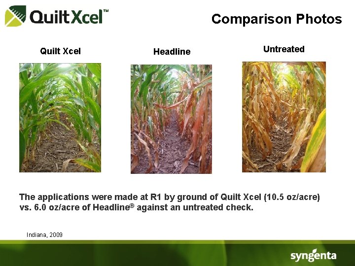 Comparison Photos Quilt Xcel Headline Untreated ● The applications were made at R 1