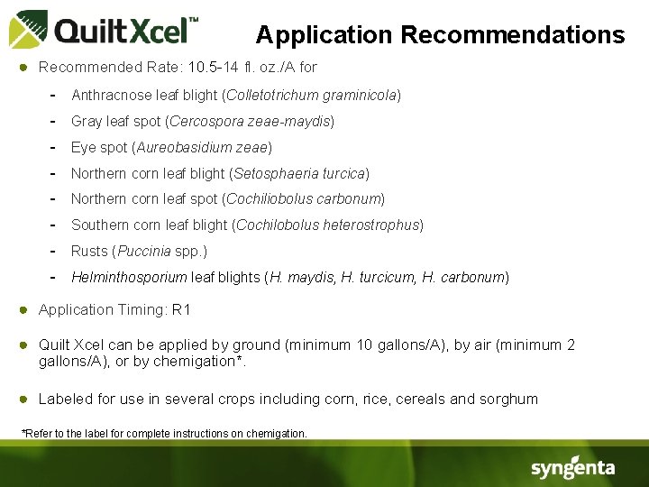 Application Recommendations ● Recommended Rate: 10. 5 -14 fl. oz. /A for - Anthracnose