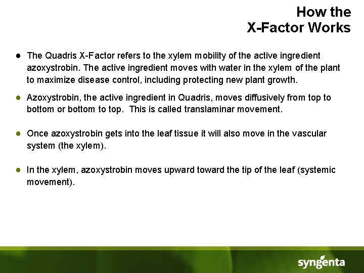 How the X-Factor Works ● The Quadris X-Factor refers to the xylem mobility of