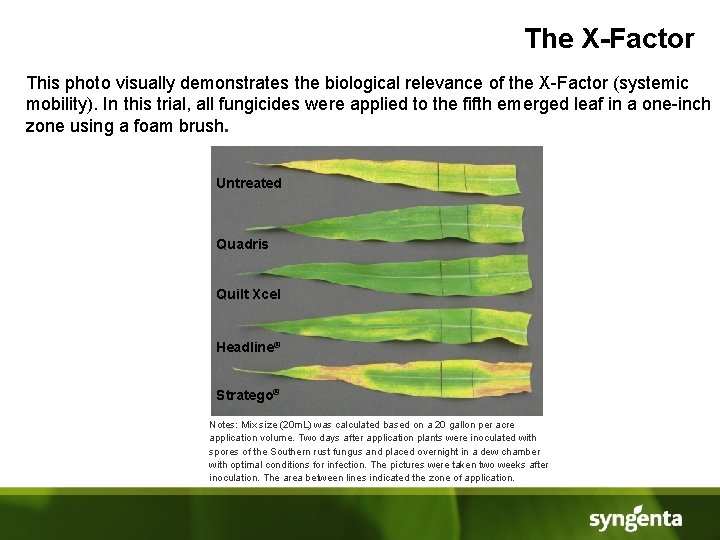 The X-Factor This photo visually demonstrates the biological relevance of the X-Factor (systemic mobility).