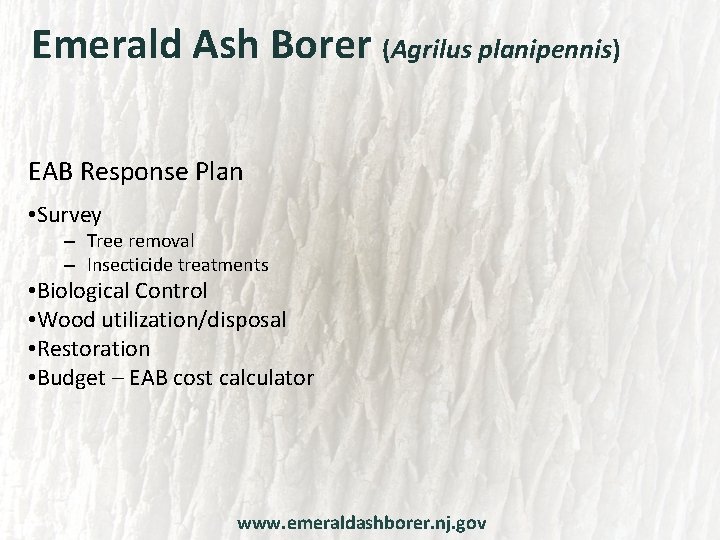 Emerald Ash Borer (Agrilus planipennis) EAB Response Plan • Survey – Tree removal –