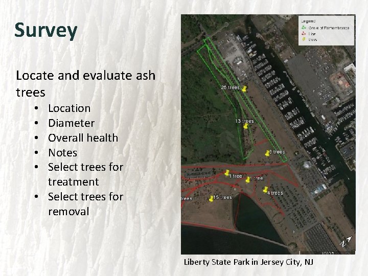 Survey Locate and evaluate ash trees Location Diameter Overall health Notes Select trees for