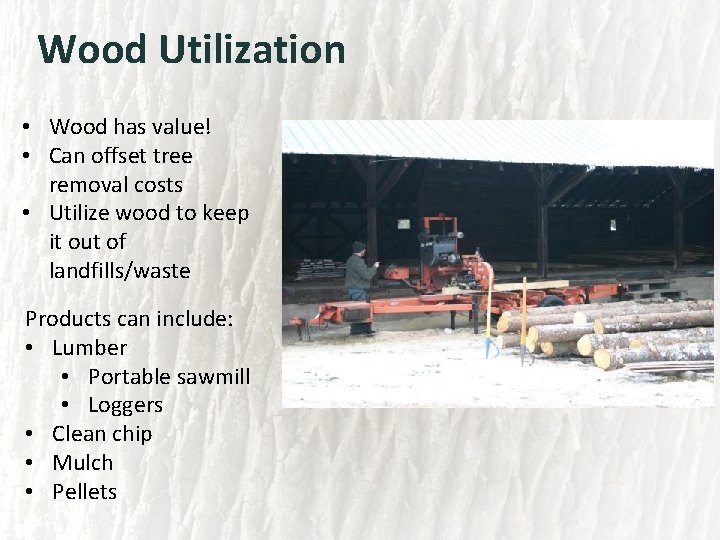 Wood Utilization • Wood has value! • Can offset tree removal costs • Utilize