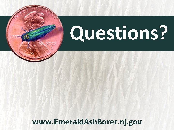 Questions? www. Emerald. Ash. Borer. nj. gov 