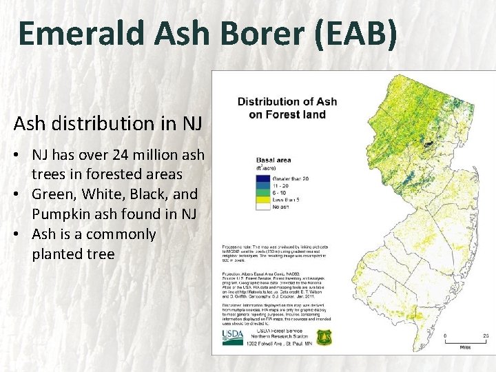 Emerald Ash Borer (EAB) Ash distribution in NJ • NJ has over 24 million