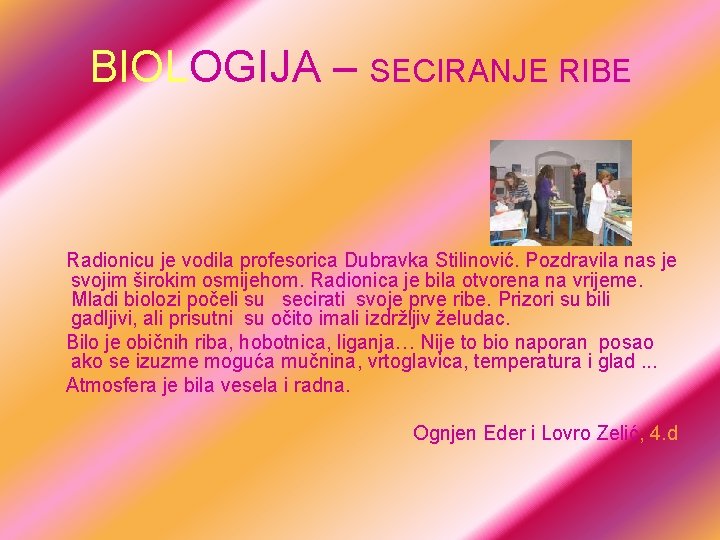 BIOLOGIJA – SECIRANJE RIBE Radionicu je vodila profesorica Dubravka Stilinović. Pozdravila nas je svojim