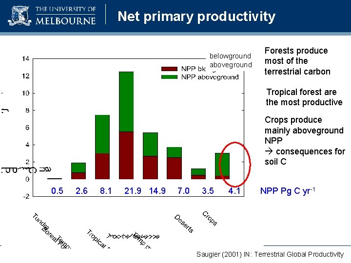 Net primary productivity belowground aboveground Forests produce most of the terrestrial carbon Tropical forest