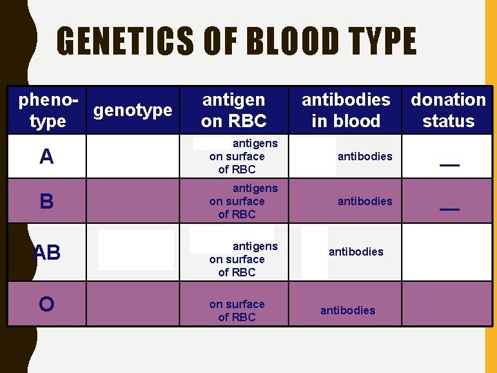 GENETICS OF BLOOD TYPE phenogenotype A B AB O antigen on RBC antibodies in