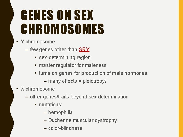 GENES ON SEX CHROMOSOMES • Y chromosome – few genes other than SRY •