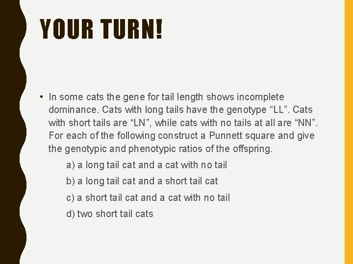 YOUR TURN! • In some cats the gene for tail length shows incomplete dominance.