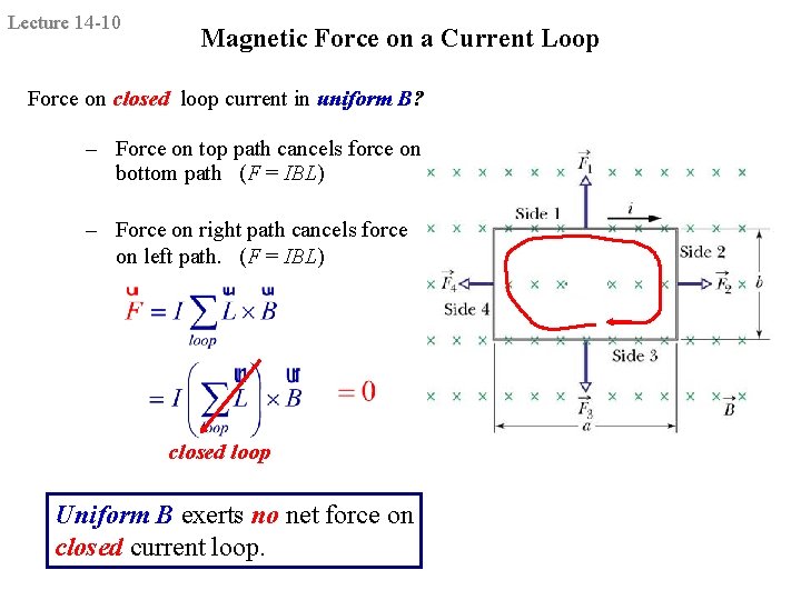 Lecture 14 -10 Magnetic Force on a Current Loop Force on closed loop current
