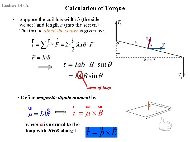 Lecture 14 -12 Calculation of Torque • Suppose the coil has width b (the