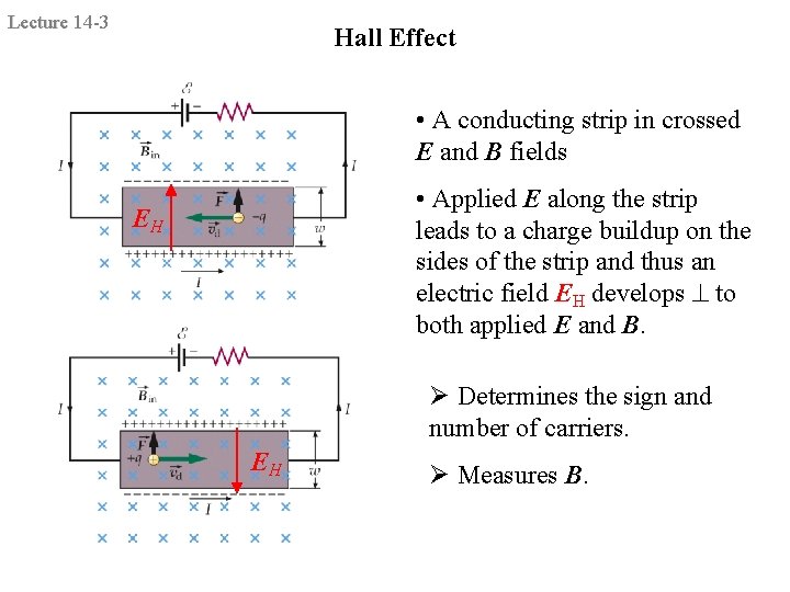 Lecture 14 -3 Hall Effect • A conducting strip in crossed E and B
