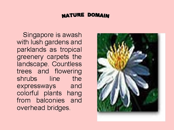  Singapore is awash with lush gardens and parklands as tropical greenery carpets the