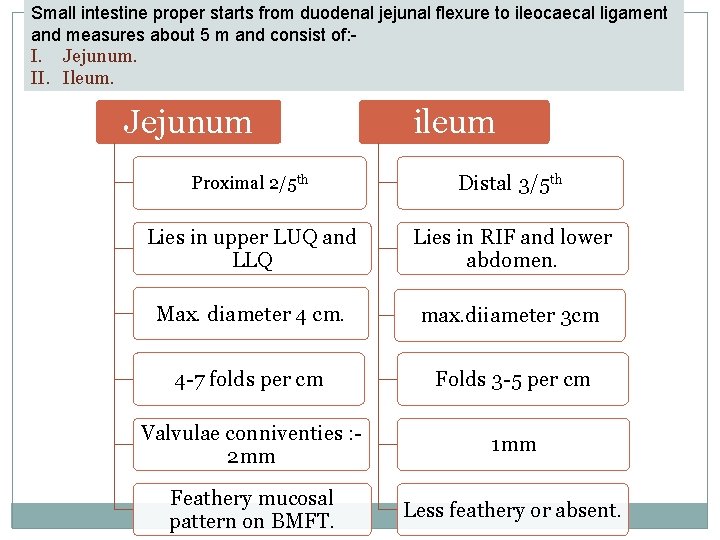 Small intestine proper starts from duodenal jejunal flexure to ileocaecal ligament and measures about
