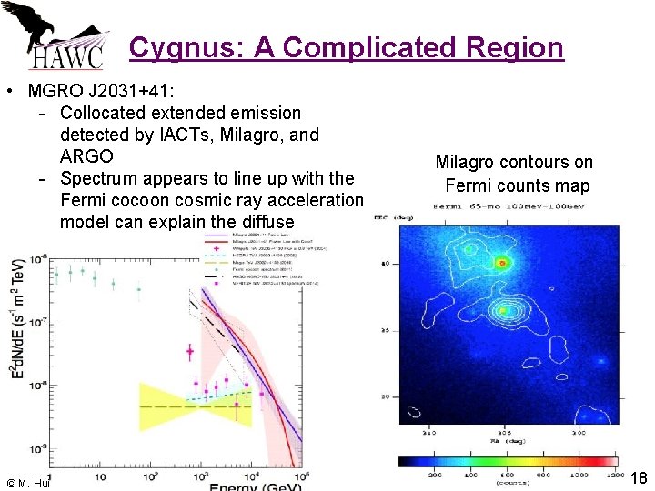 Cygnus: A Complicated Region • MGRO J 2031+41: - Collocated extended emission detected by