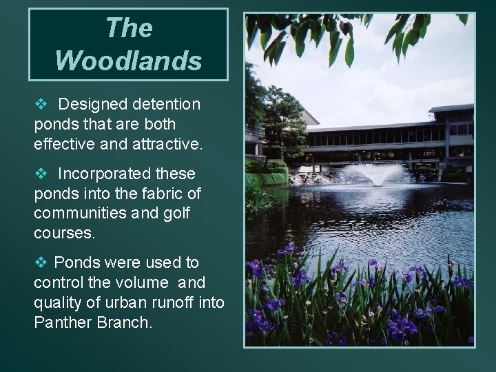 The Woodlands v Designed detention ponds that are both effective and attractive. v Incorporated