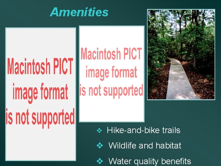 Amenities v Hike-and-bike trails v Wildlife and habitat v Water quality benefits 