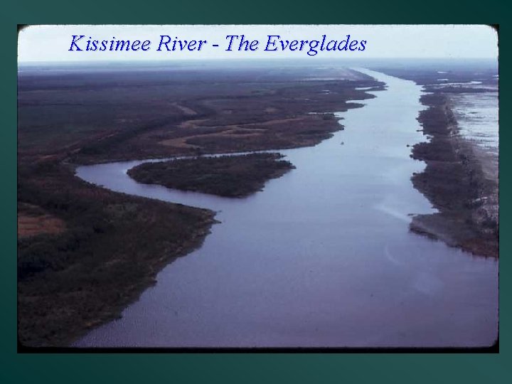 Kissimee River - The Everglades 