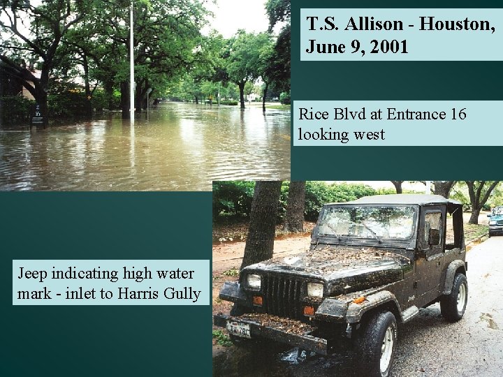 T. S. Allison - Houston, June 9, 2001 Rice Blvd at Entrance 16 looking