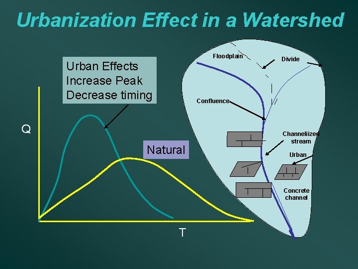 Urbanization Effect in a Watershed Floodplain Urban Effects Increase Peak Decrease timing Divide Confluence