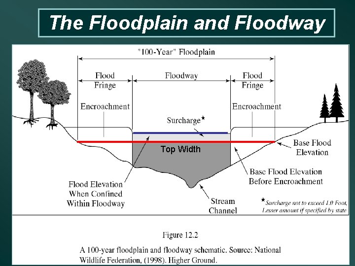 The Floodplain and Floodway Top Width 