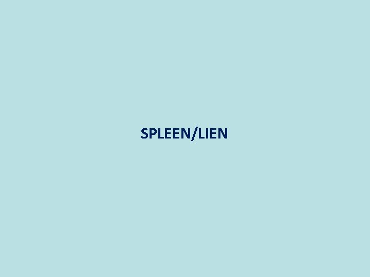 SPLEEN/LIEN 