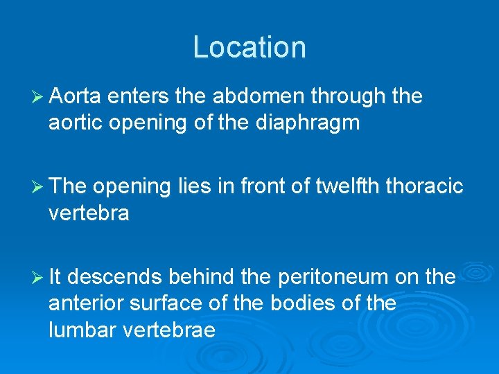 Location Ø Aorta enters the abdomen through the aortic opening of the diaphragm Ø
