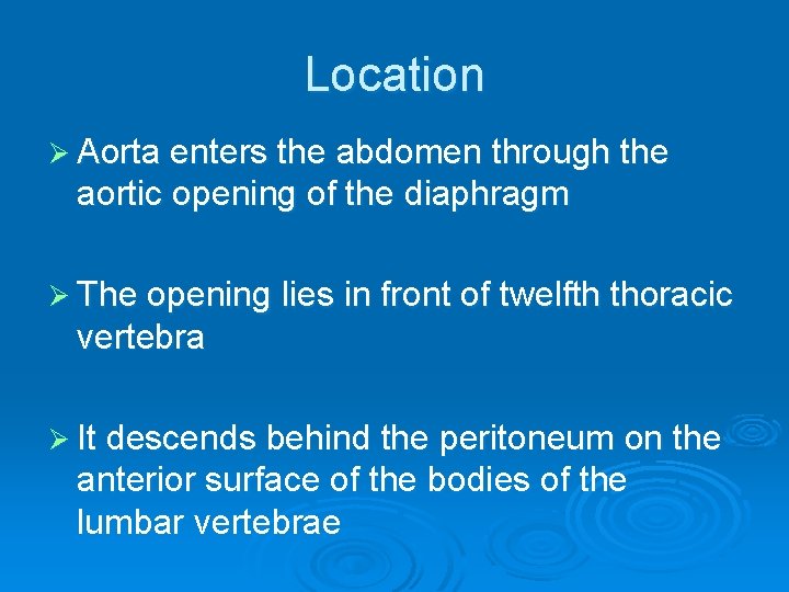 Location Ø Aorta enters the abdomen through the aortic opening of the diaphragm Ø