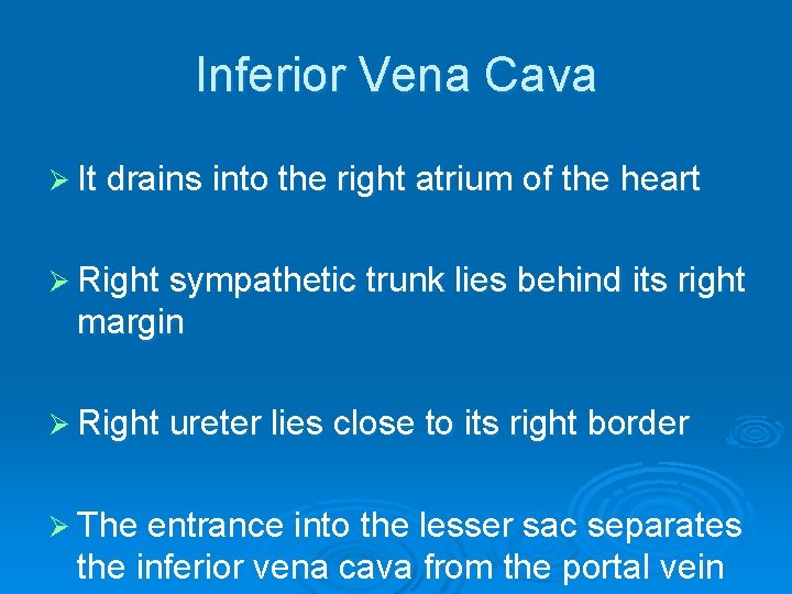 Inferior Vena Cava Ø It drains into the right atrium of the heart Ø