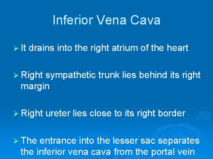 Inferior Vena Cava Ø It drains into the right atrium of the heart Ø