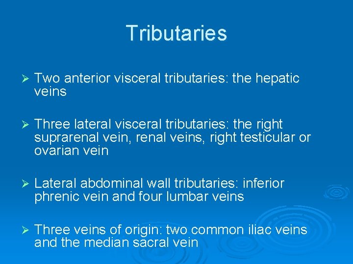 Tributaries Ø Two anterior visceral tributaries: the hepatic veins Ø Three lateral visceral tributaries:
