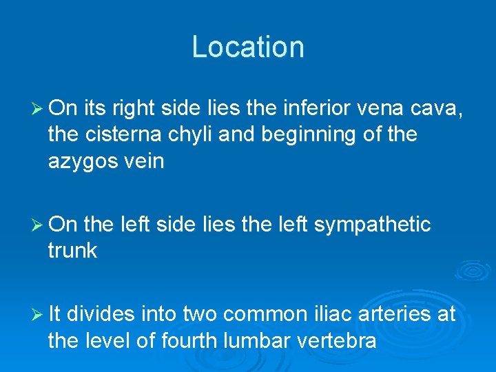Location Ø On its right side lies the inferior vena cava, the cisterna chyli