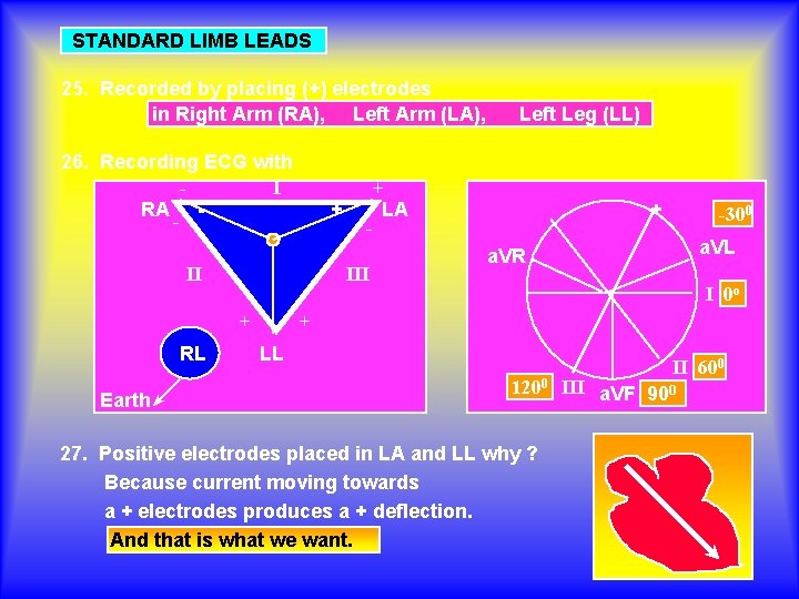 STANDARD LIMB LEADS 25. Recorded by placing (+) electrodes in Right Arm (RA), Left