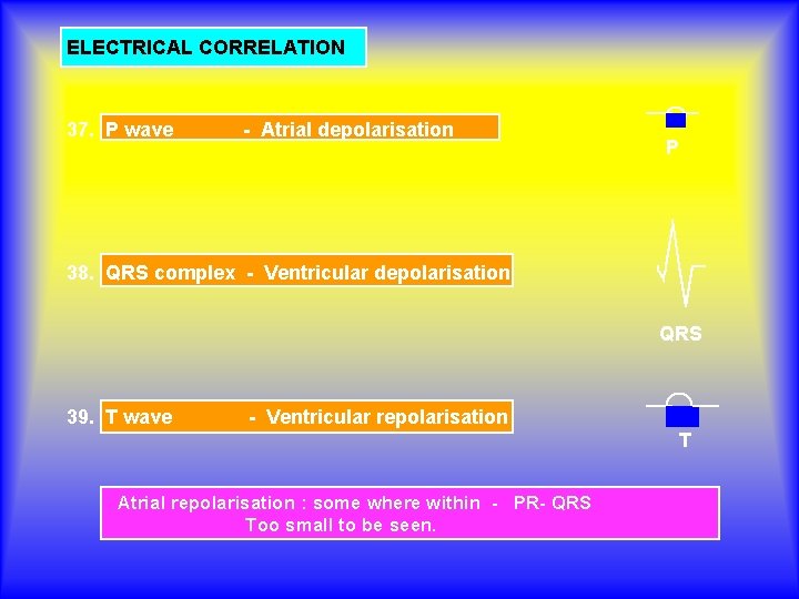 ELECTRICAL CORRELATION 37. P wave - Atrial depolarisation P 38. QRS complex - Ventricular