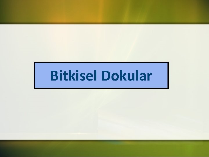 Bitkisel Dokular 