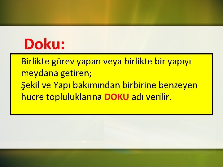 Doku: Birlikte görev yapan veya birlikte bir yapıyı meydana getiren; Şekil ve Yapı bakımından