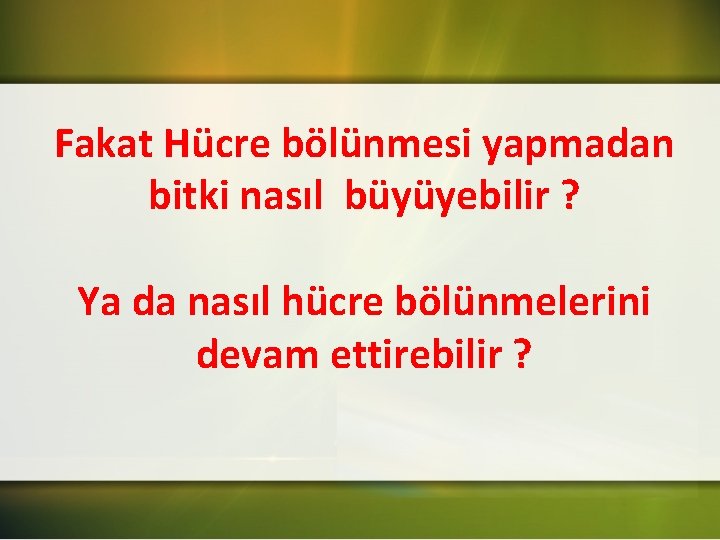 Fakat Hücre bölünmesi yapmadan bitki nasıl büyüyebilir ? Ya da nasıl hücre bölünmelerini devam