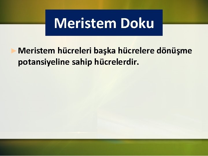 Meristem Doku ► Meristem hücreleri başka hücrelere dönüşme potansiyeline sahip hücrelerdir. 