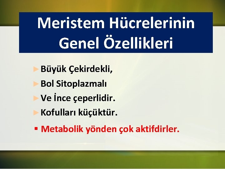 Meristem Hücrelerinin Genel Özellikleri ► Büyük Çekirdekli, ► Bol Sitoplazmalı ► Ve İnce çeperlidir.