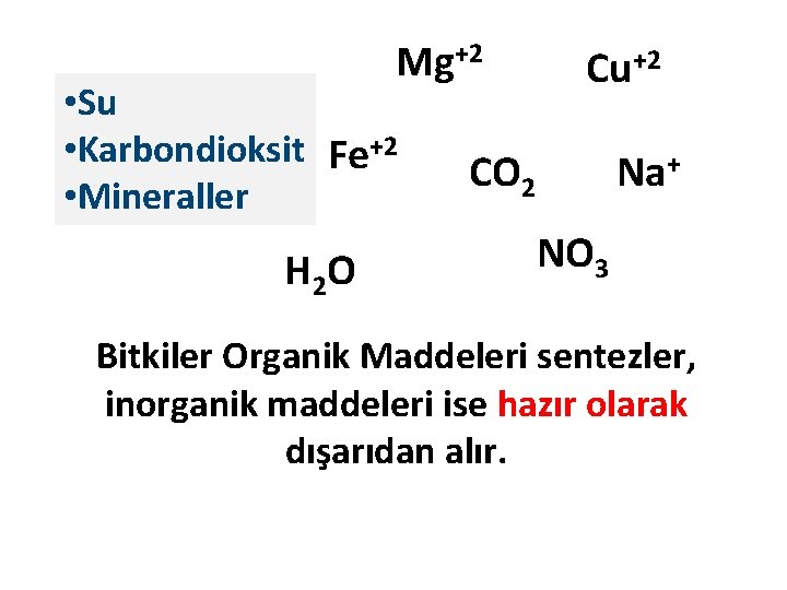 Mg+2 • Su • Karbondioksit Fe+2 • Mineraller H 2 O Cu+2 CO 2