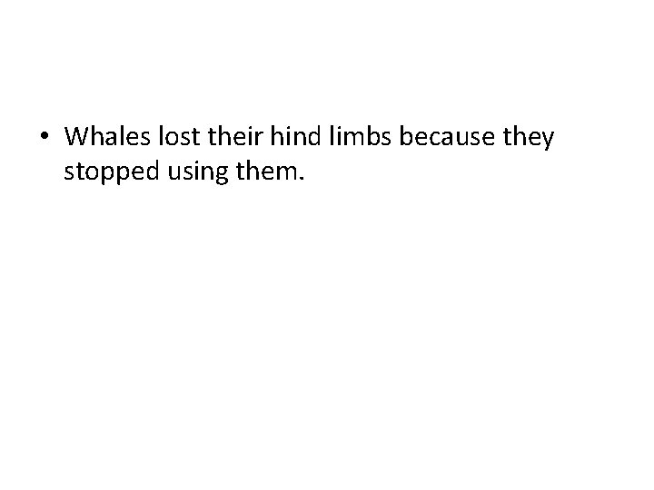  • Whales lost their hind limbs because they stopped using them. 